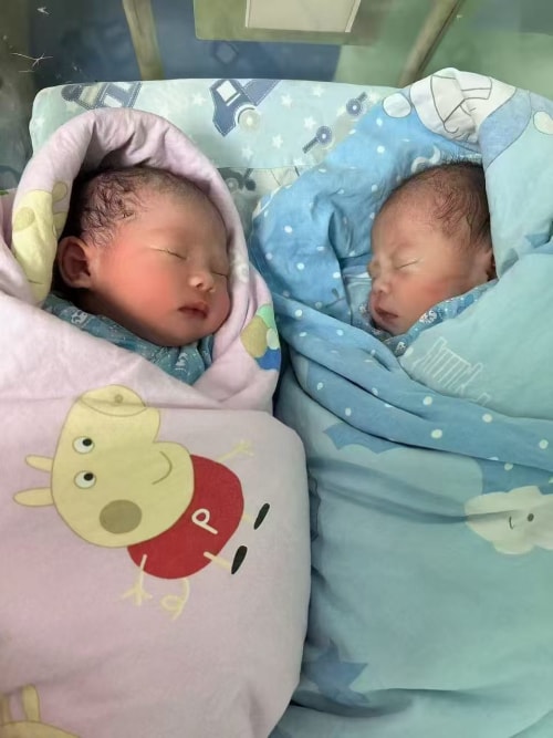 法律顾问陈律师